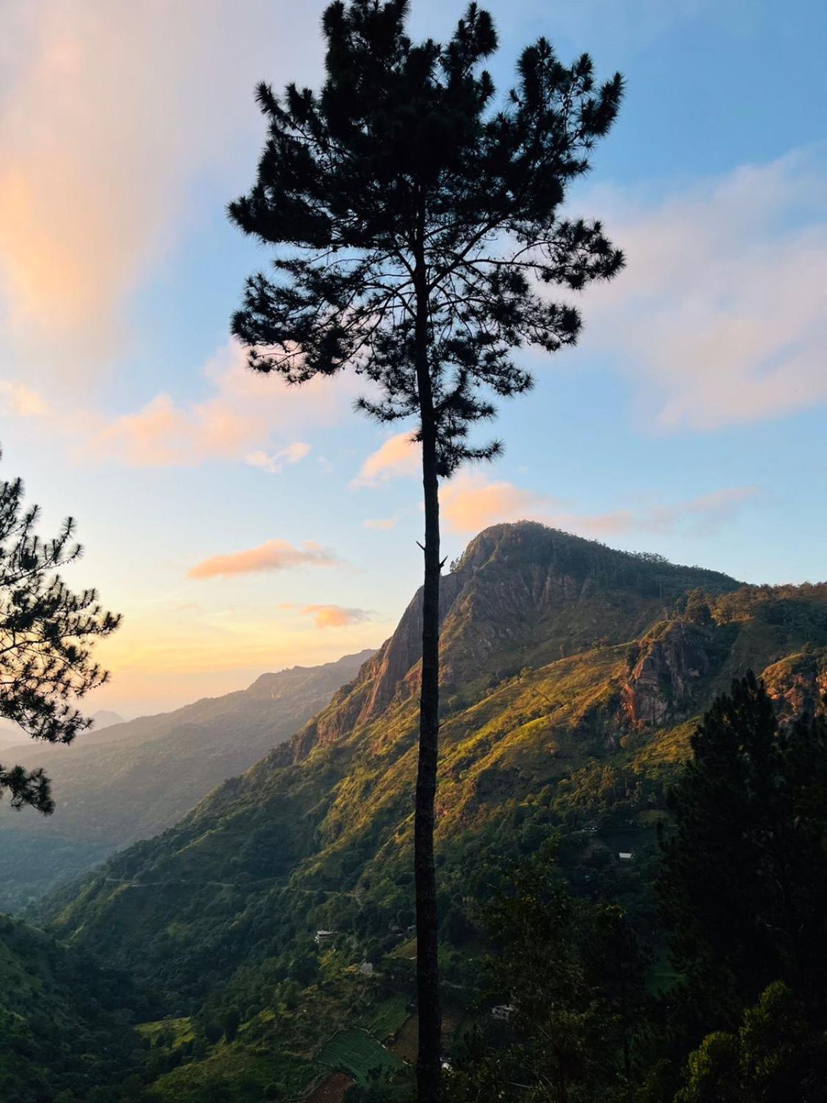 Belmount Ella Otel Dış mekan fotoğraf